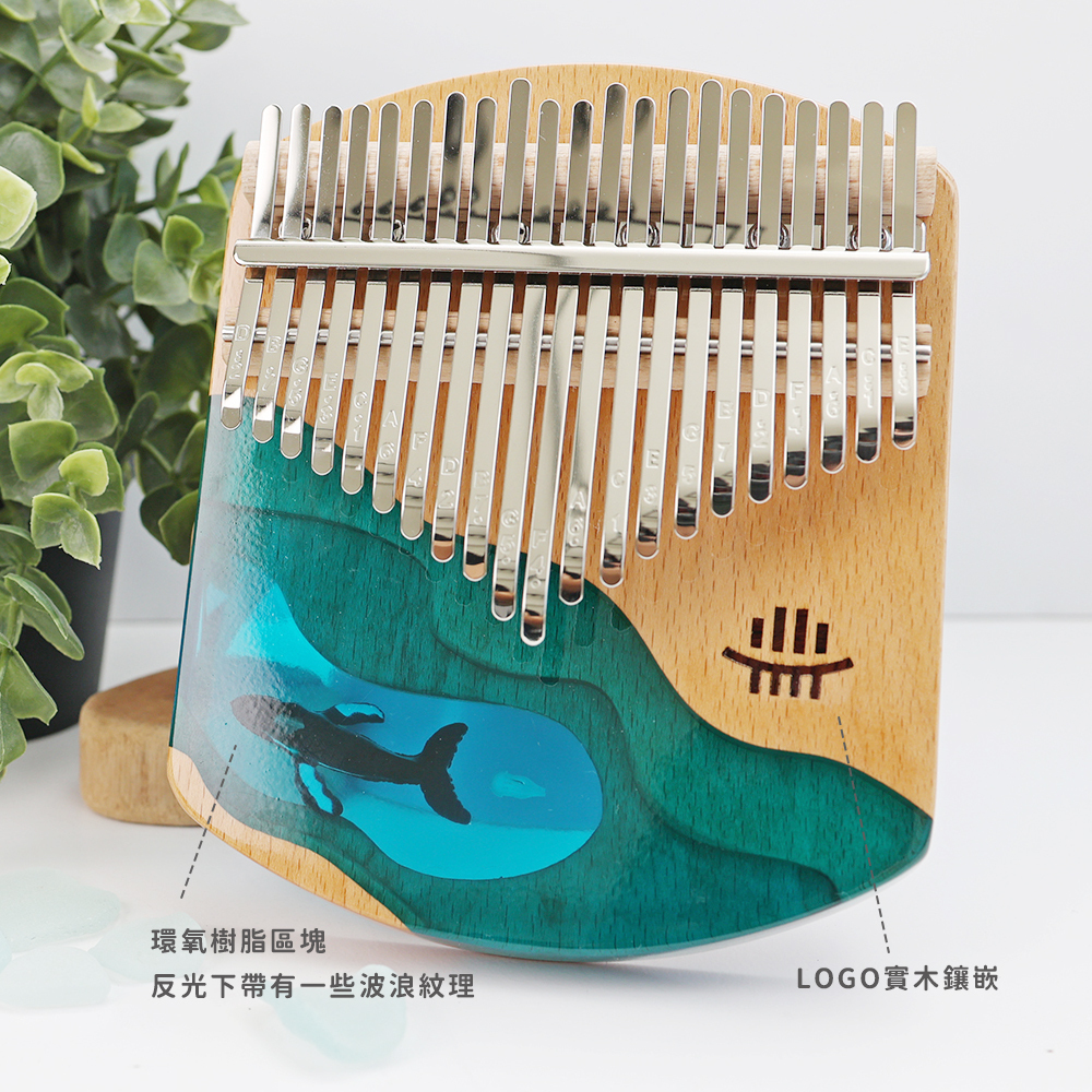 賣場圖_深海藍鯨21音_7