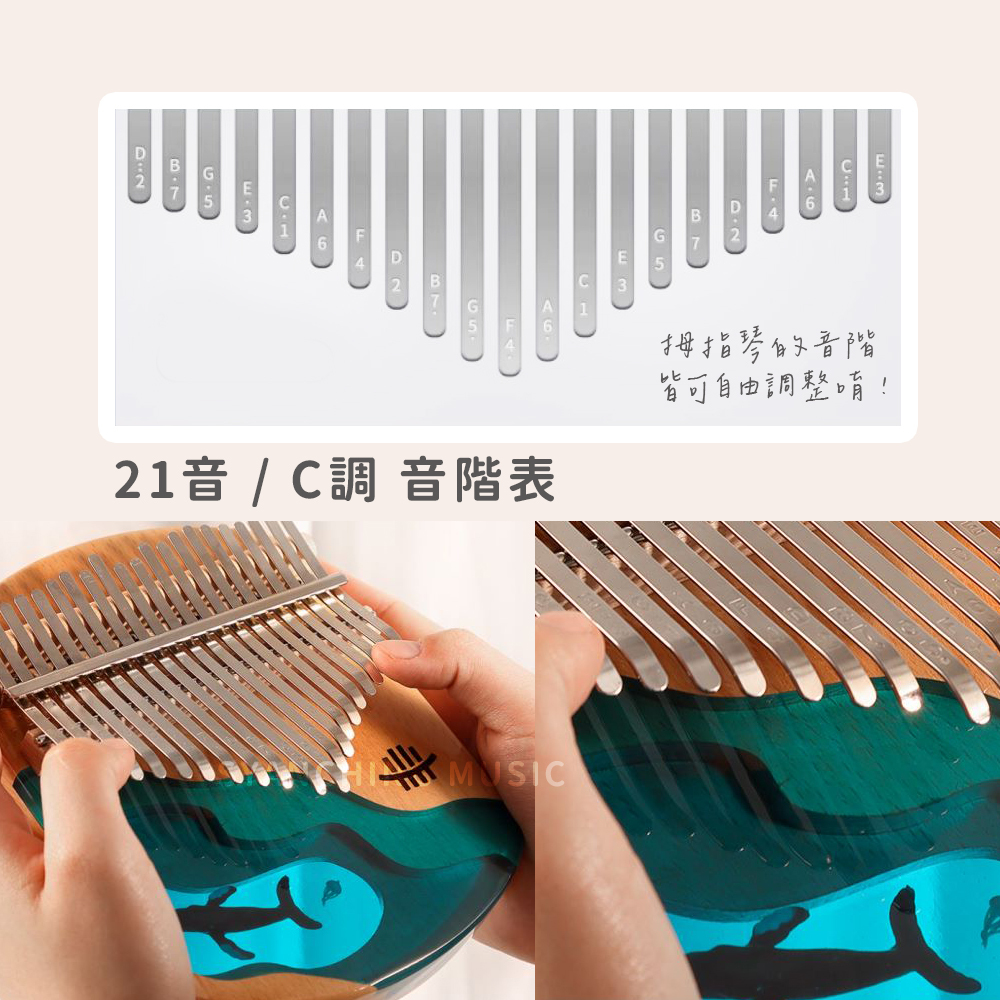 賣場圖_深海藍鯨21音_10