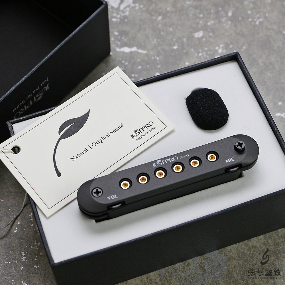 方形網拍圖_JUSTPRO JC-A1 變色龍拾音器_5.jpg