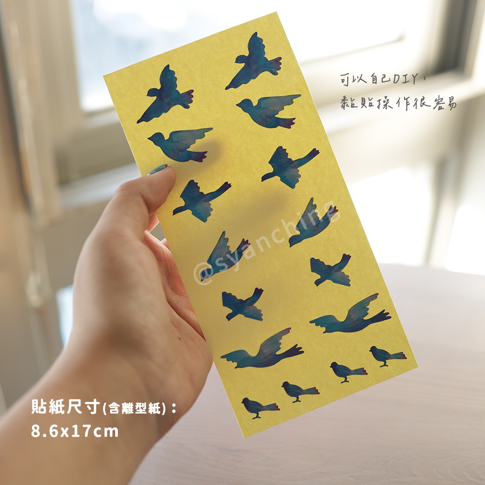 網拍圖_指板貼紙_彩貝飛鳥_3