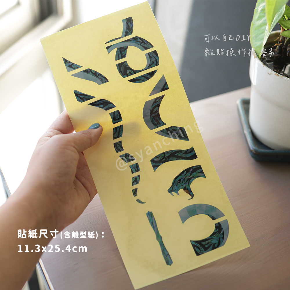 指板貼(蛇行彩貝)-3