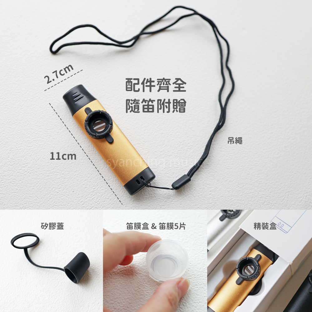 網拍圖_專業款金屬卡祖笛_9