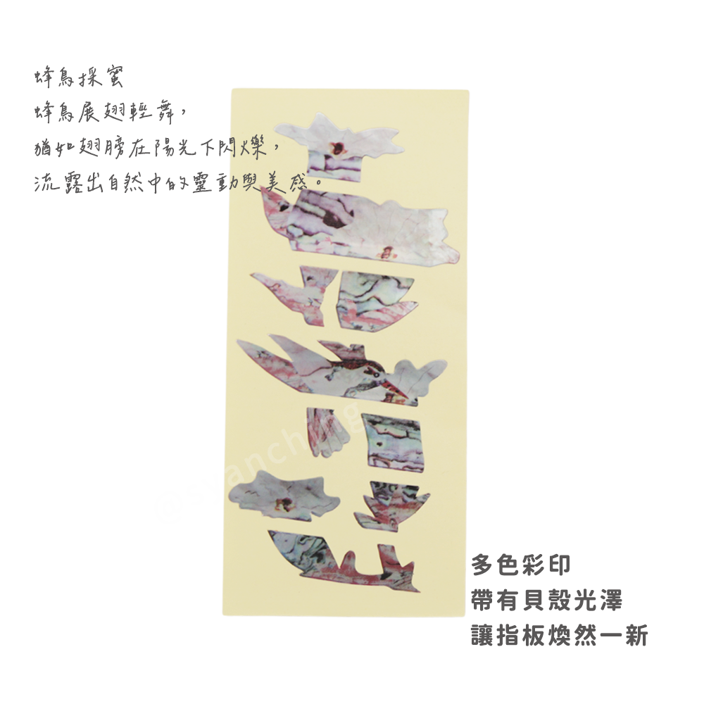網拍圖_指板貼紙_蜂鳥採蜜_2