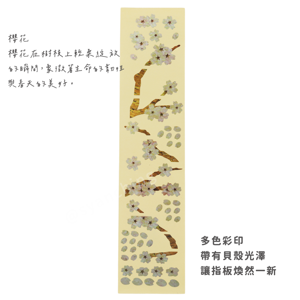 網拍圖_指板貼紙_櫻花_2