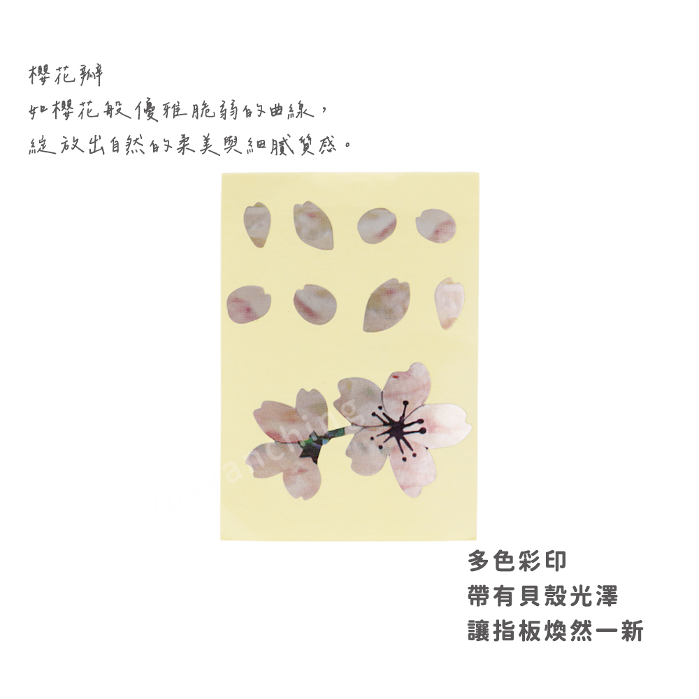 網拍圖_指板貼紙_櫻花瓣_2