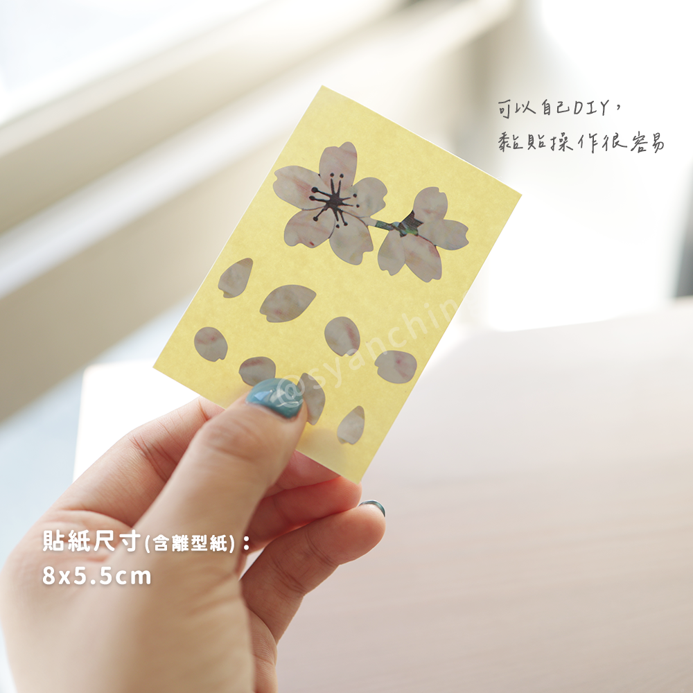 網拍圖_指板貼紙_櫻花瓣_3