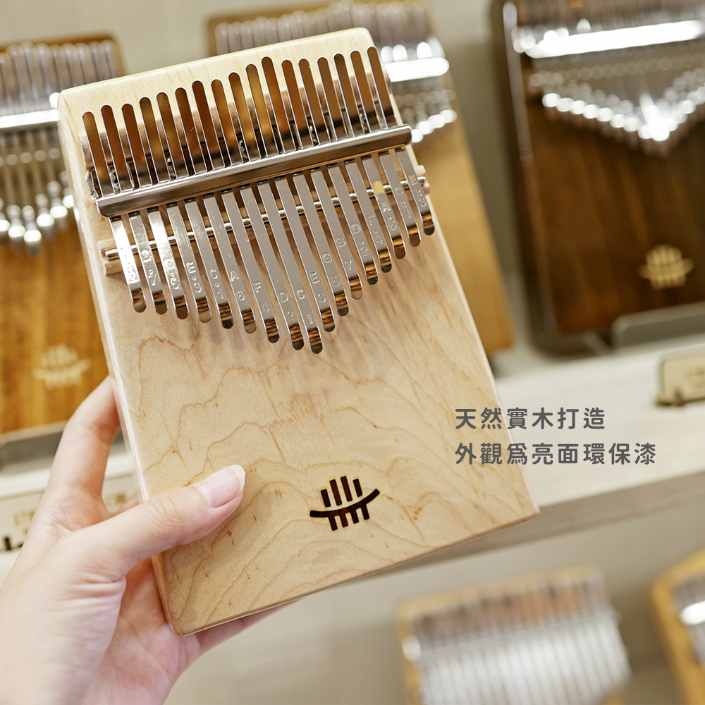 網拍圖_璀璨箱琴_5