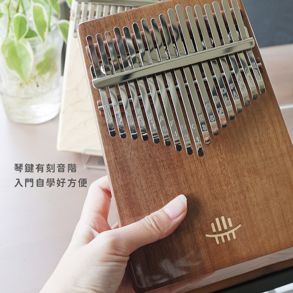 網拍圖_璀璨箱琴_4