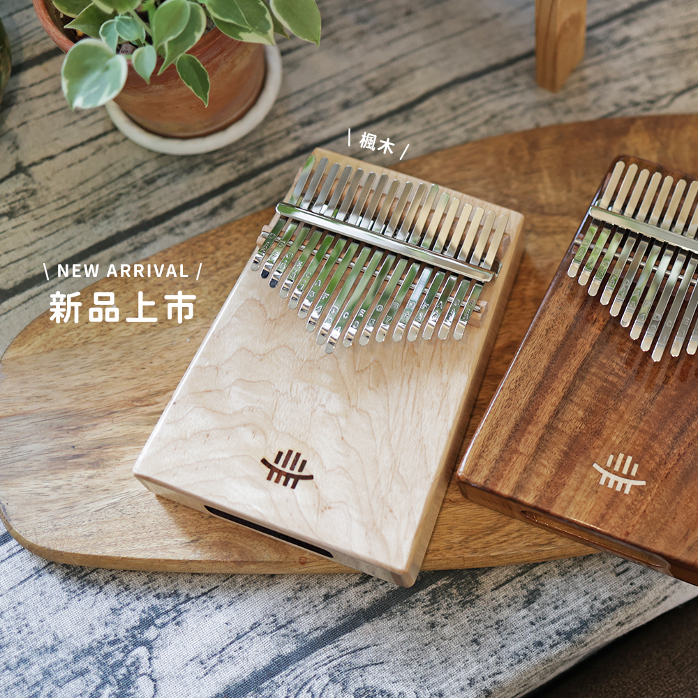 網拍圖_璀璨箱琴_2
