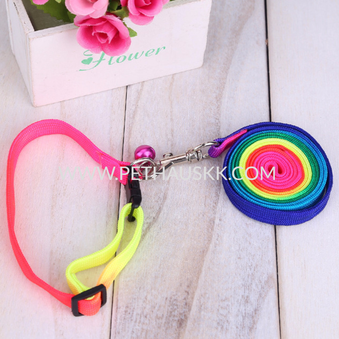 colourful collar & leash11.jpg