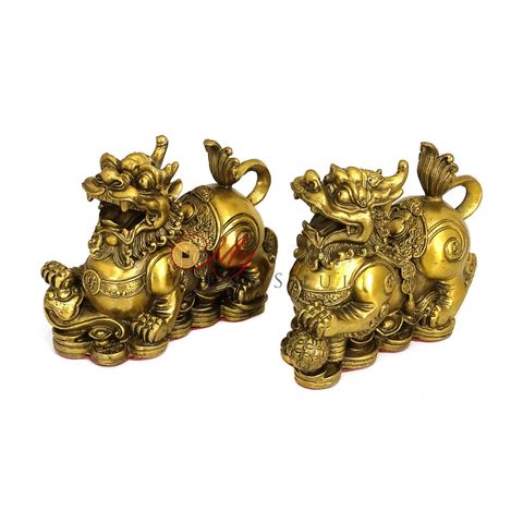 Feng Shui Brass Dragon Tortoise with Pakua Turtle – MyFengshui