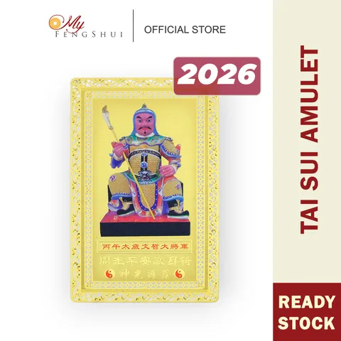 DSCF6490 with template cover