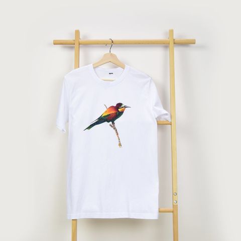 European-Bee-Eater-1200-x-1200-1.jpg