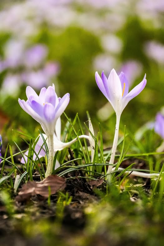 工作與休息的時間，平衡了嗎？壓力與快樂的指數，平衡了嗎？