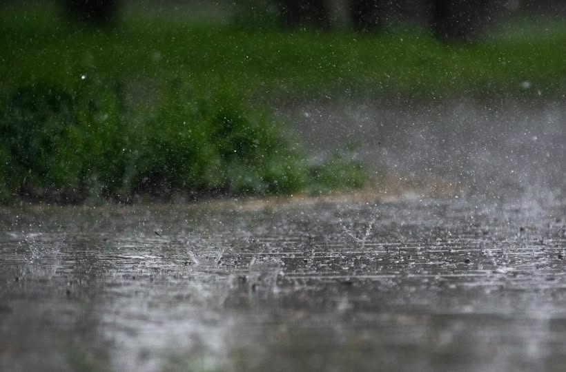 剛淋完雨的這十分鐘，是決定你免疫力會不會崩盤的黃金時刻