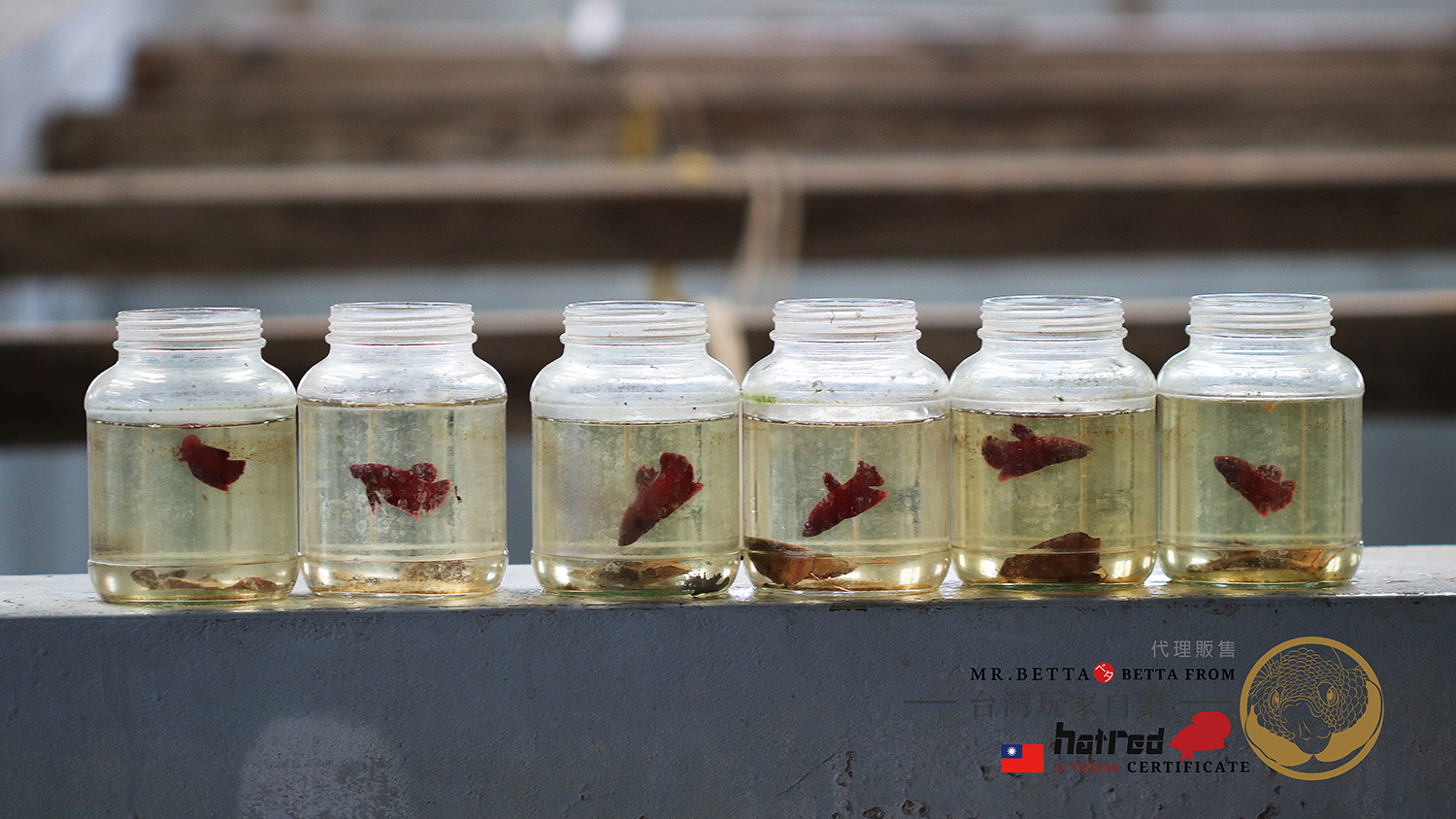 byhr01ak-02ak-1.jpg byhr01ak-02ak-1.jpg