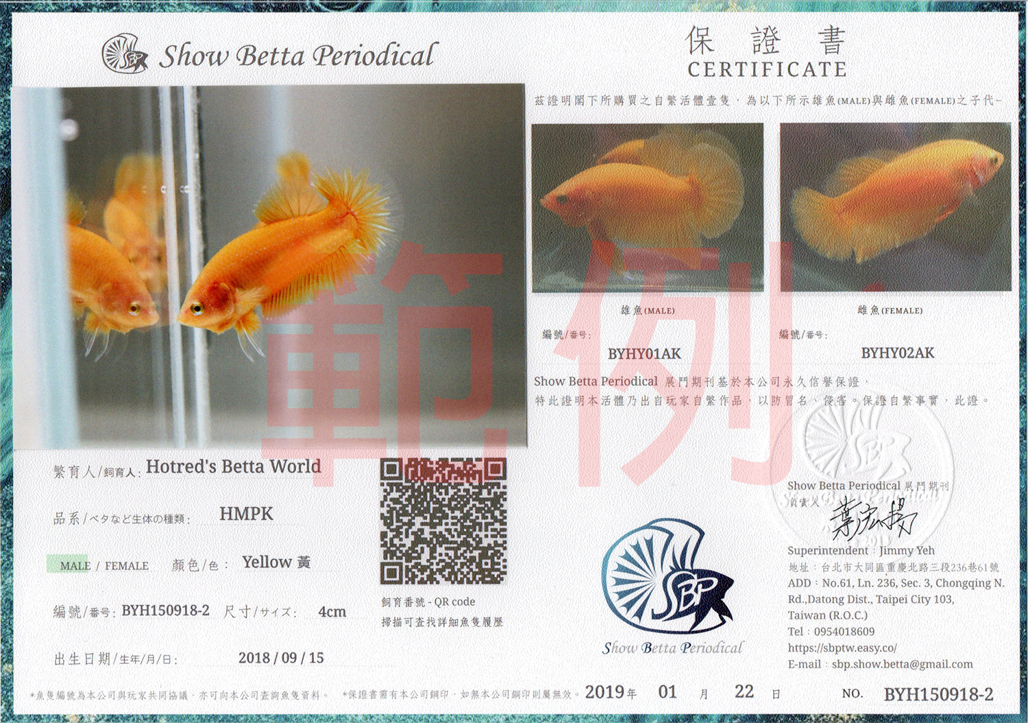 BYH150918-2 -1-1.jpg BYH150918-2 -1-1.jpg