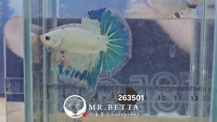 20260305_081504(1)