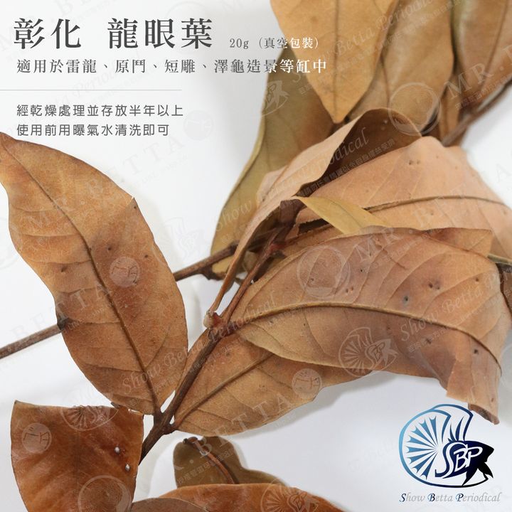 BAND-商品.jpg