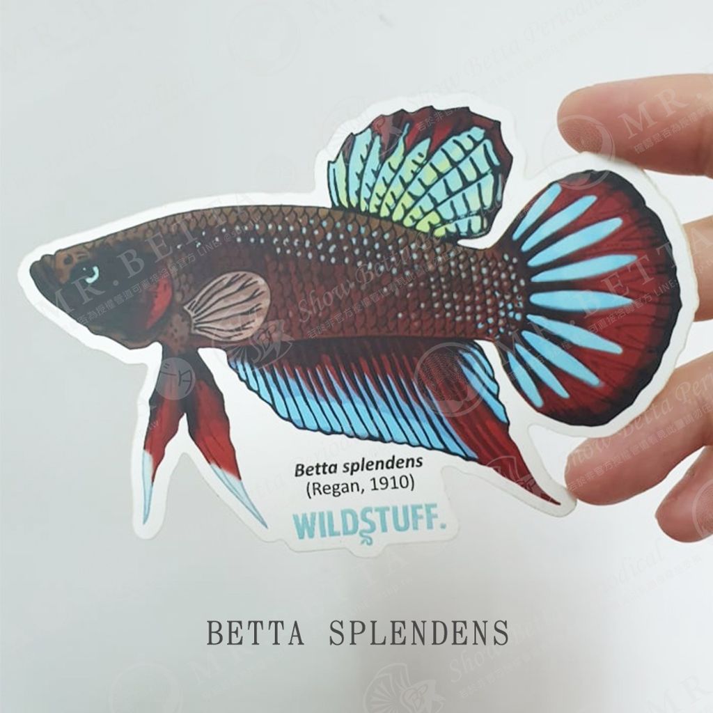 eb95a0845f2f1d9a6339cfc3c007540f