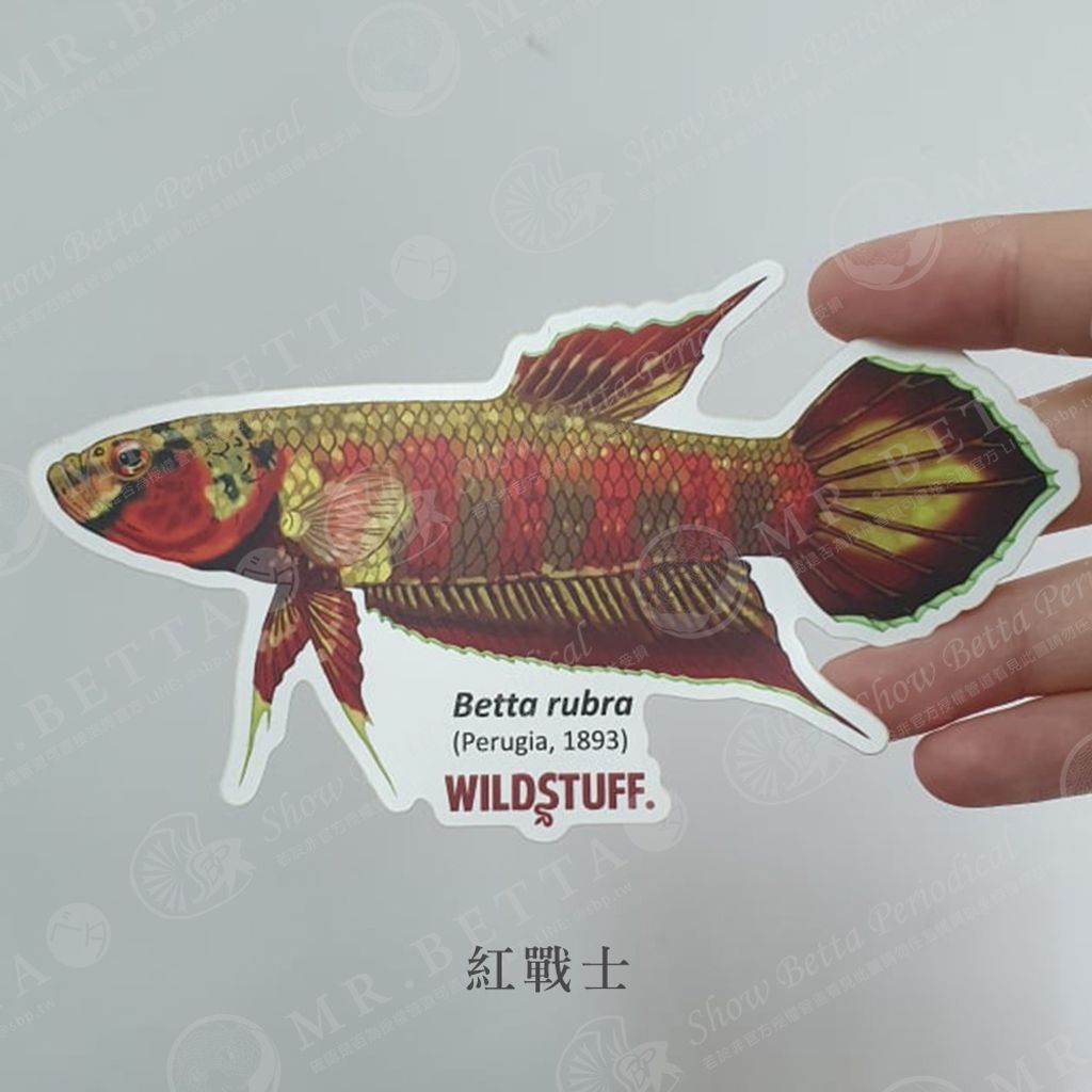 aa9da1b99818aa99e4083a4732be33a6