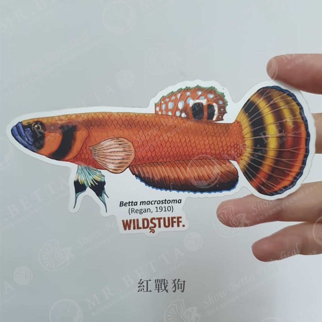 af1ceb57009aa9af0bf6dc9f72ee0a7f