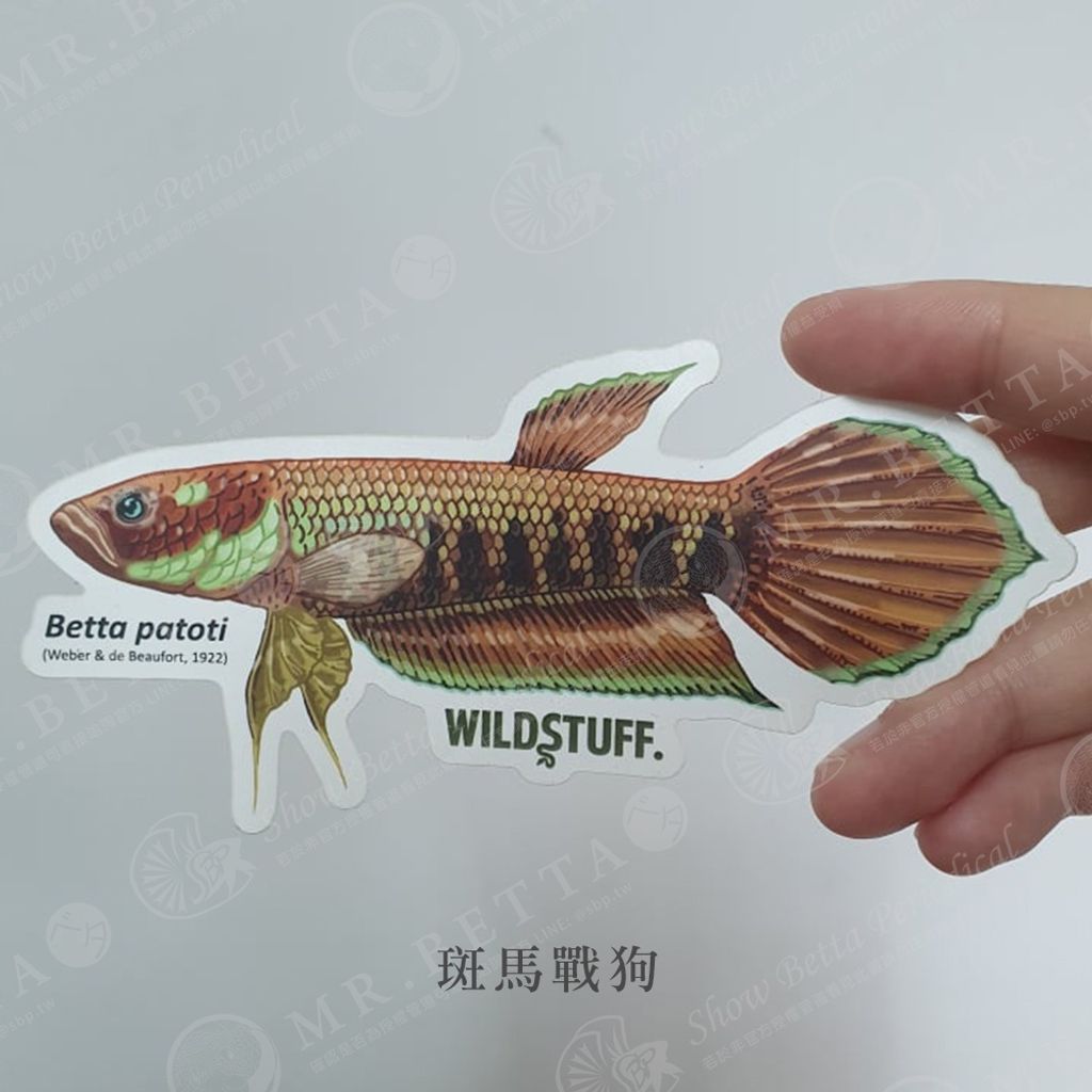 5925510943c995cbb9d94e77d50fafa6