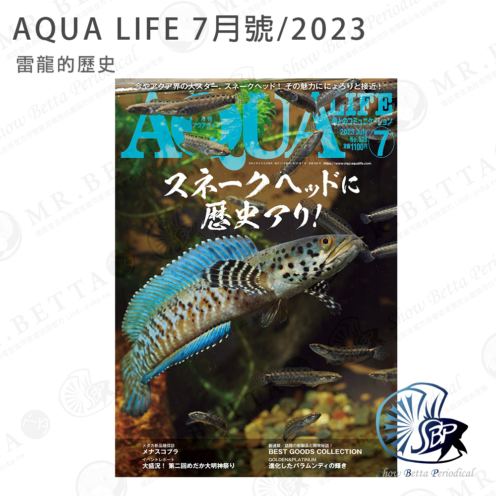 【雷龍‼️SALE実施中‼️※プロフ必読※】 AQUA LIFE 日本水族雜誌7月號/2023 雷龍特輯有三種雷龍繁殖及性別分辨