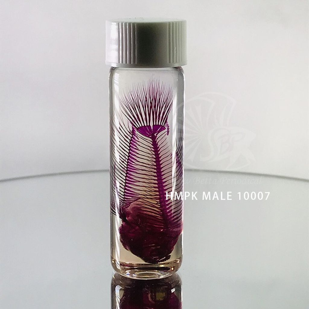 cbc1ee19c34534cd20bc53479691a9a2