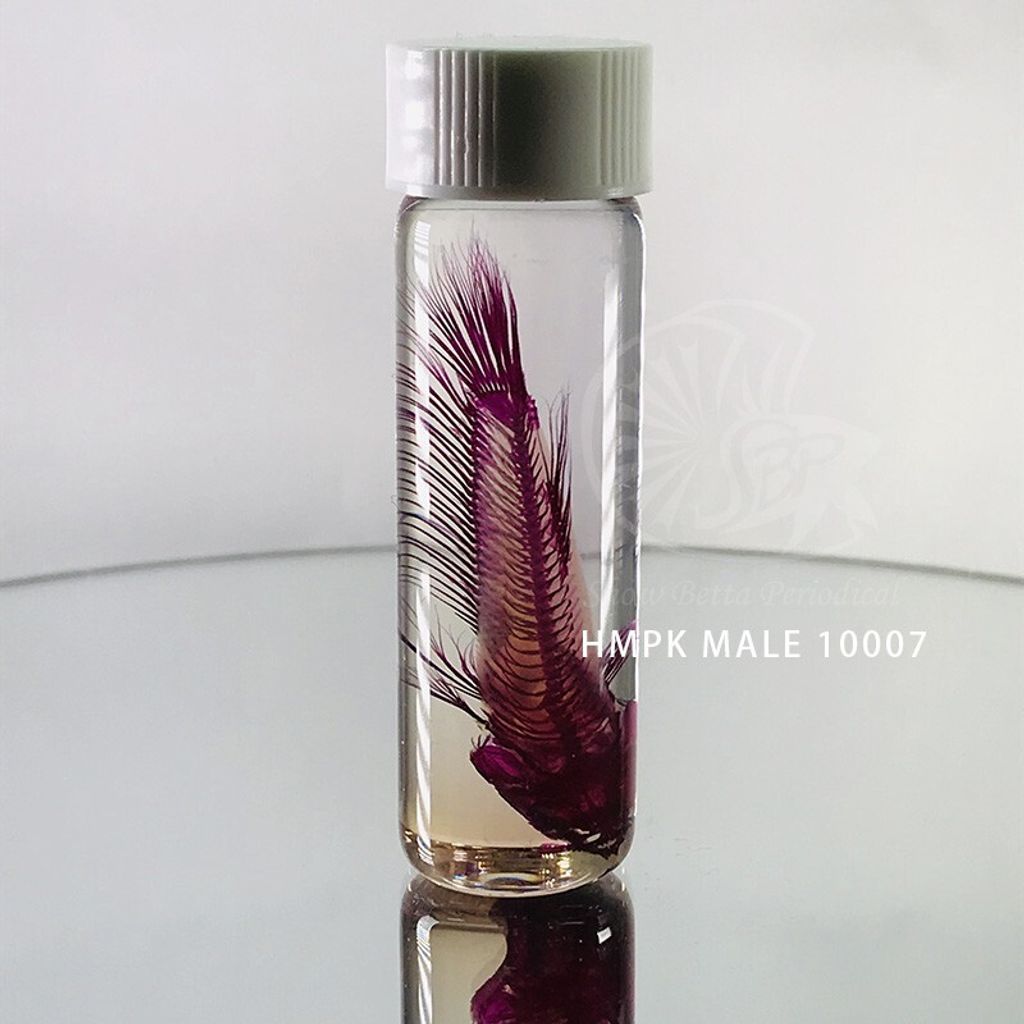 f5f9b8f02126b0e90a07b30a69519dad