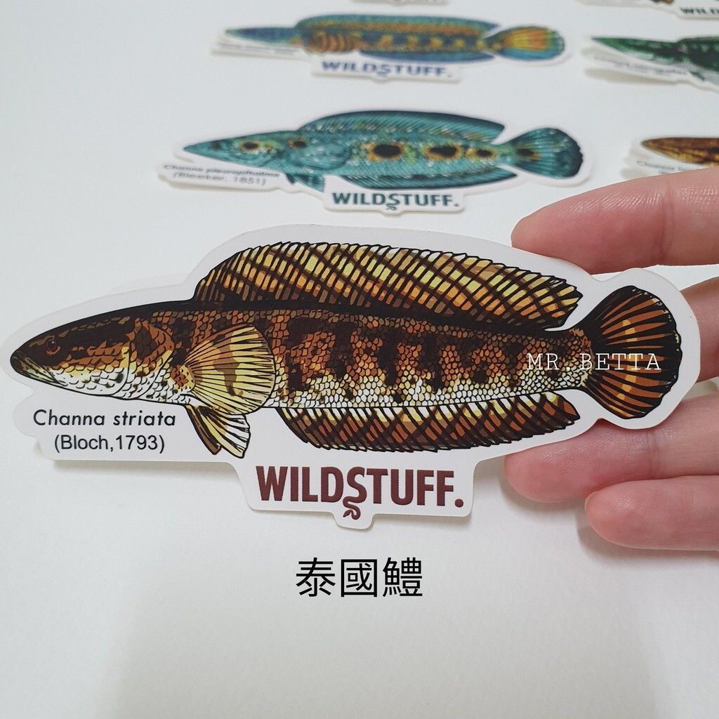 2d2d784bcecf1f916b0d4575d5a48ab1