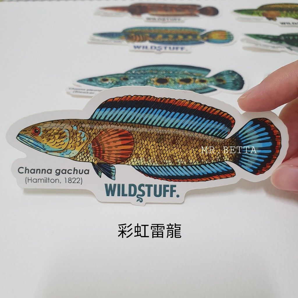 5321d5f9a0bfa0a1465543a8c39e769b