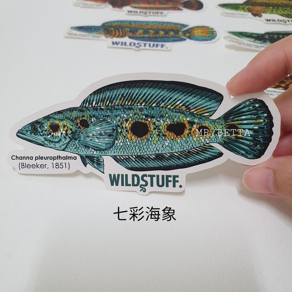 b6020e831167b3f988e8703a59fbe6b0