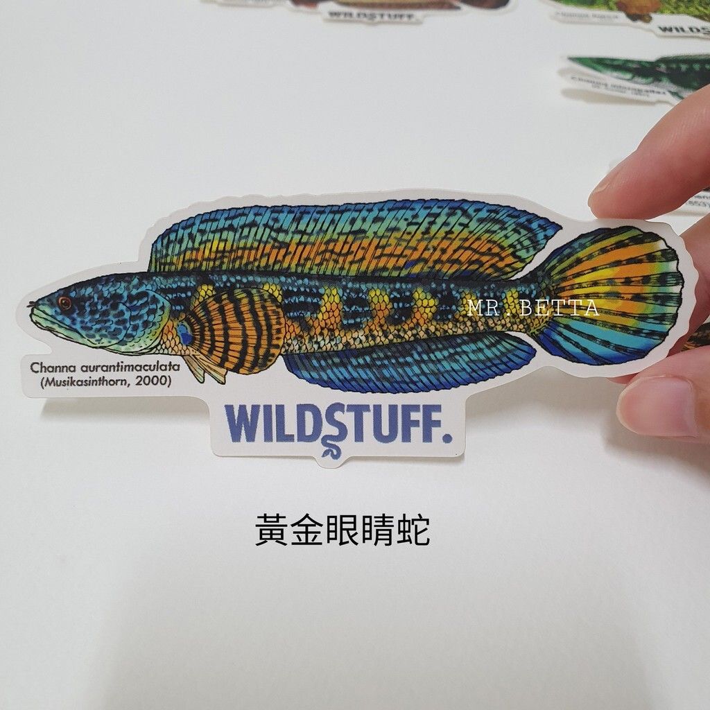 f1a6f782b983360b233cdb93031eb6df