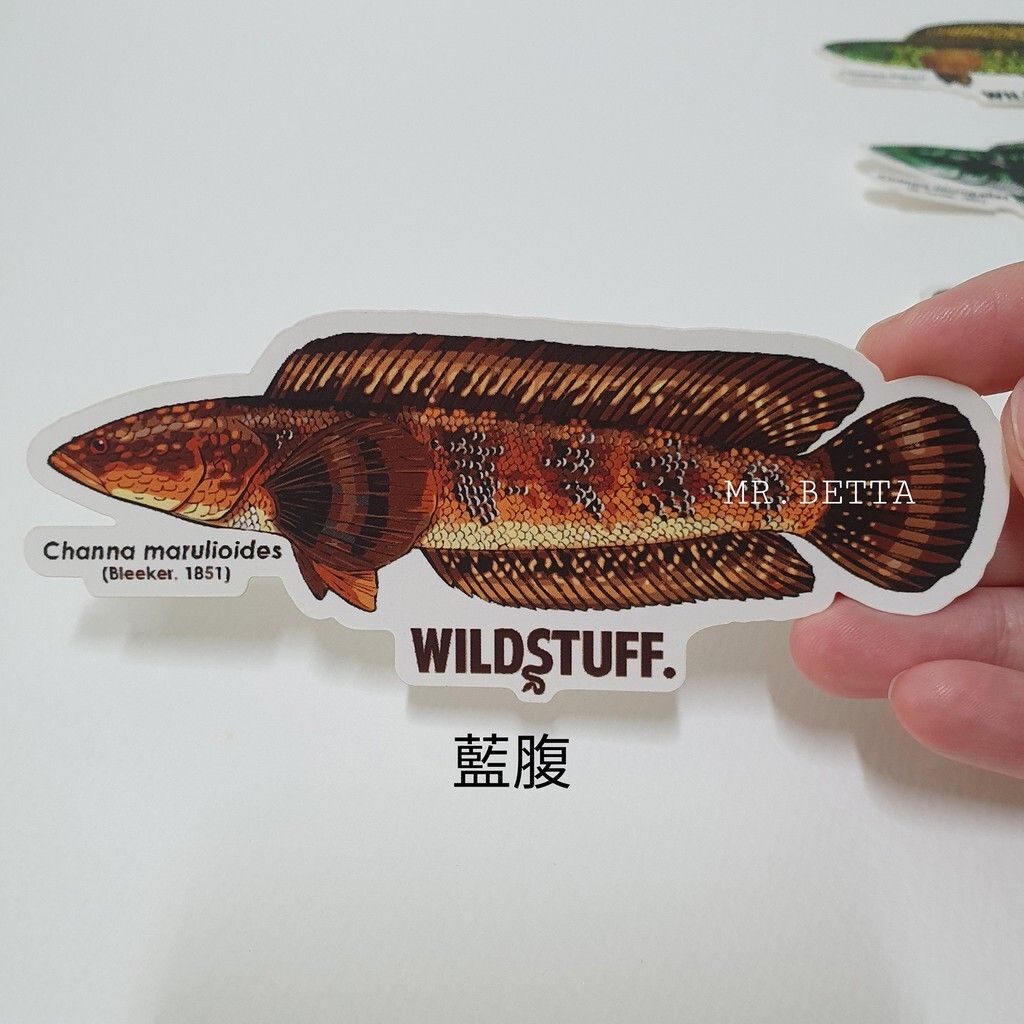 7810e34aa188f71c30785a03d630d2dc