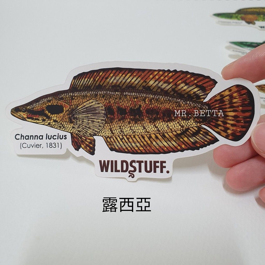 ea6022eb8f1ea8e1666591b74160a690