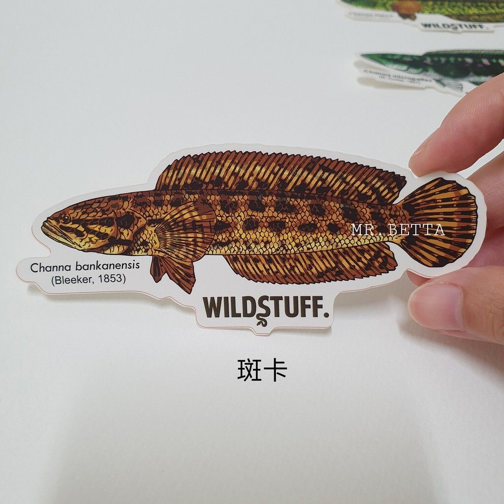 89f232f89519defd3671bc4c9b6da009