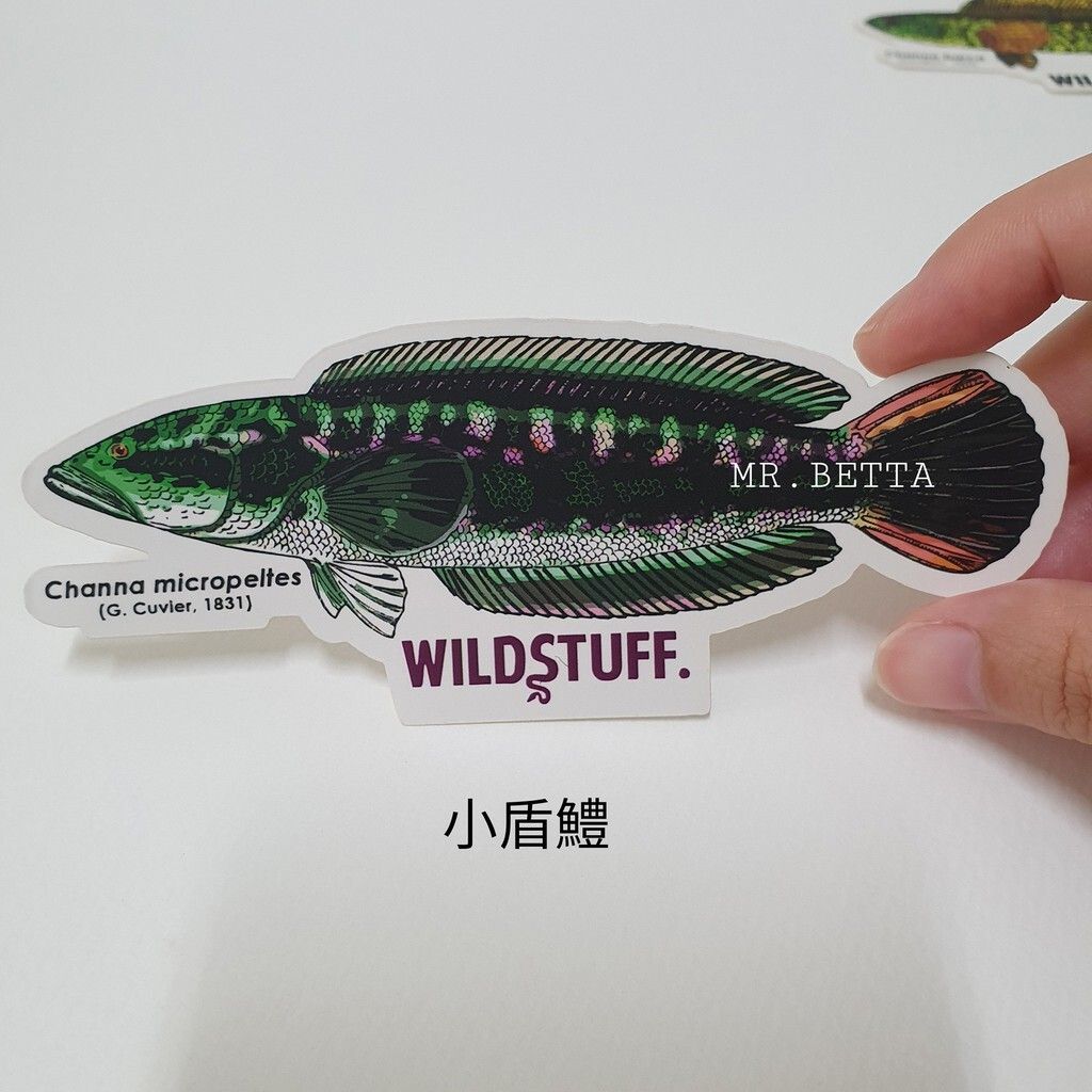 72ae3b0e955cb31684e9871d83164628