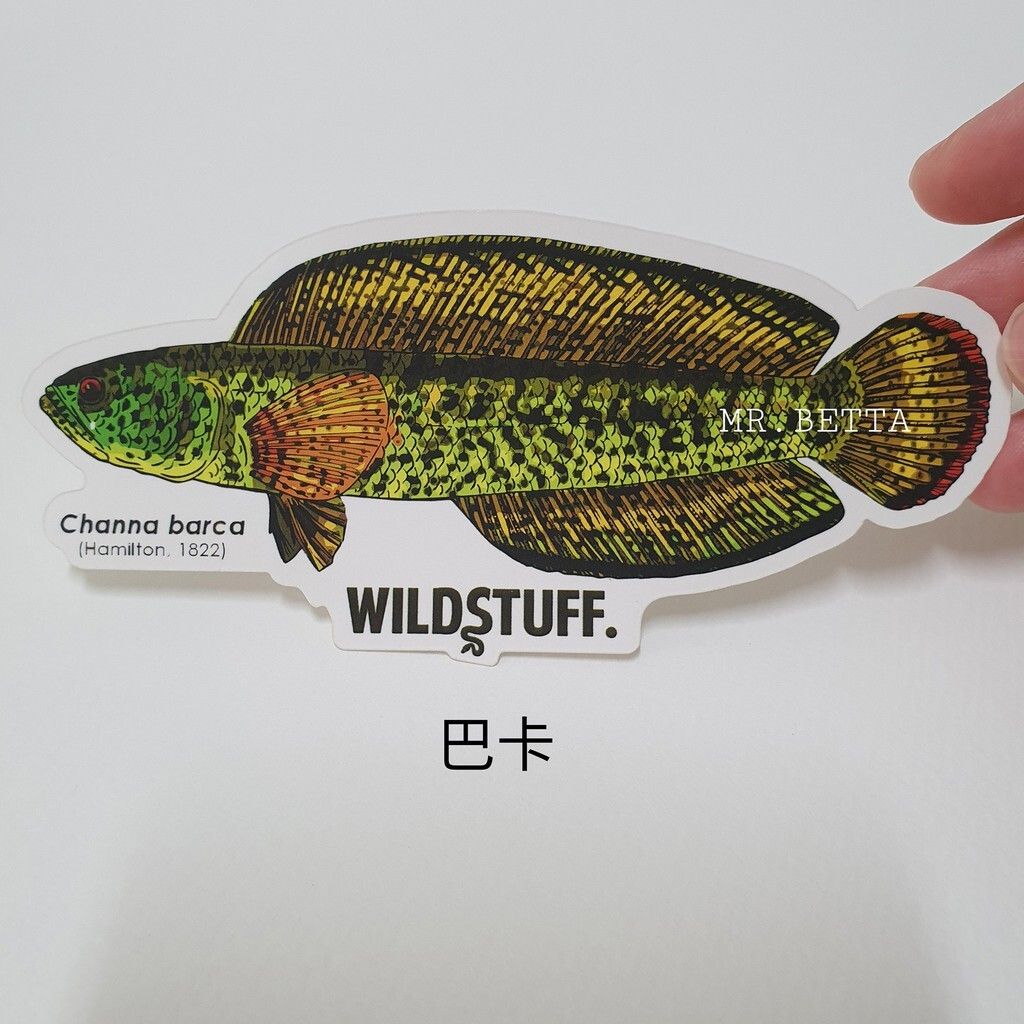 2821797111f93db80d62ee92c79a3e00