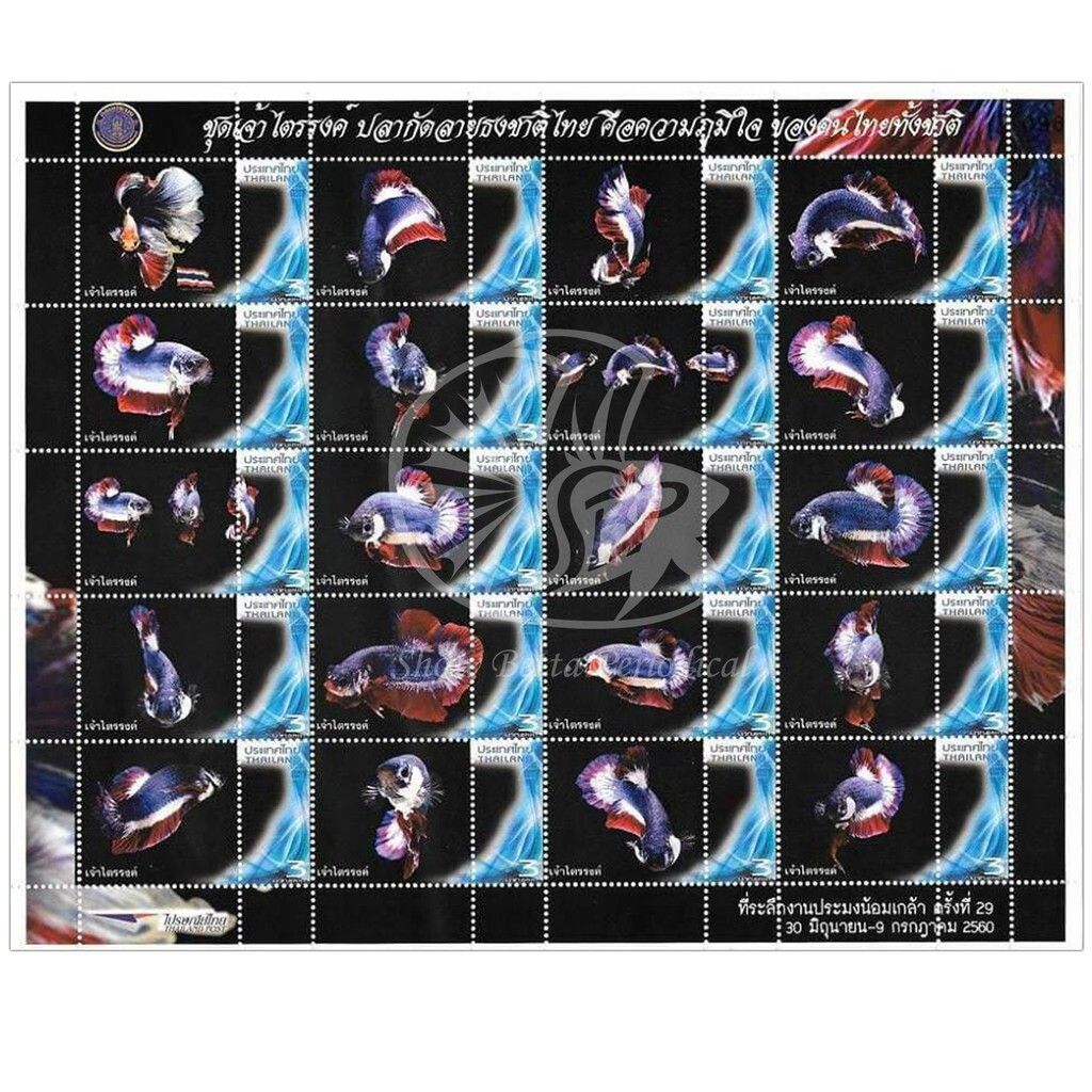 e665be4d3ba5f517a2326095f0f2b453