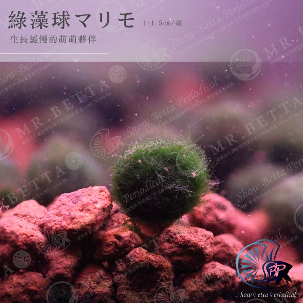d352d2002f5cd6a7fb50bf96ddbfcdcb