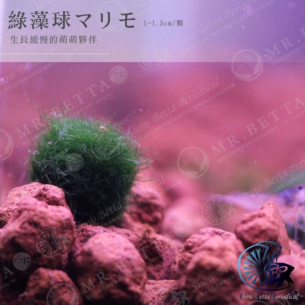 d5d7cb1b3c813903ca27a38c7561089a