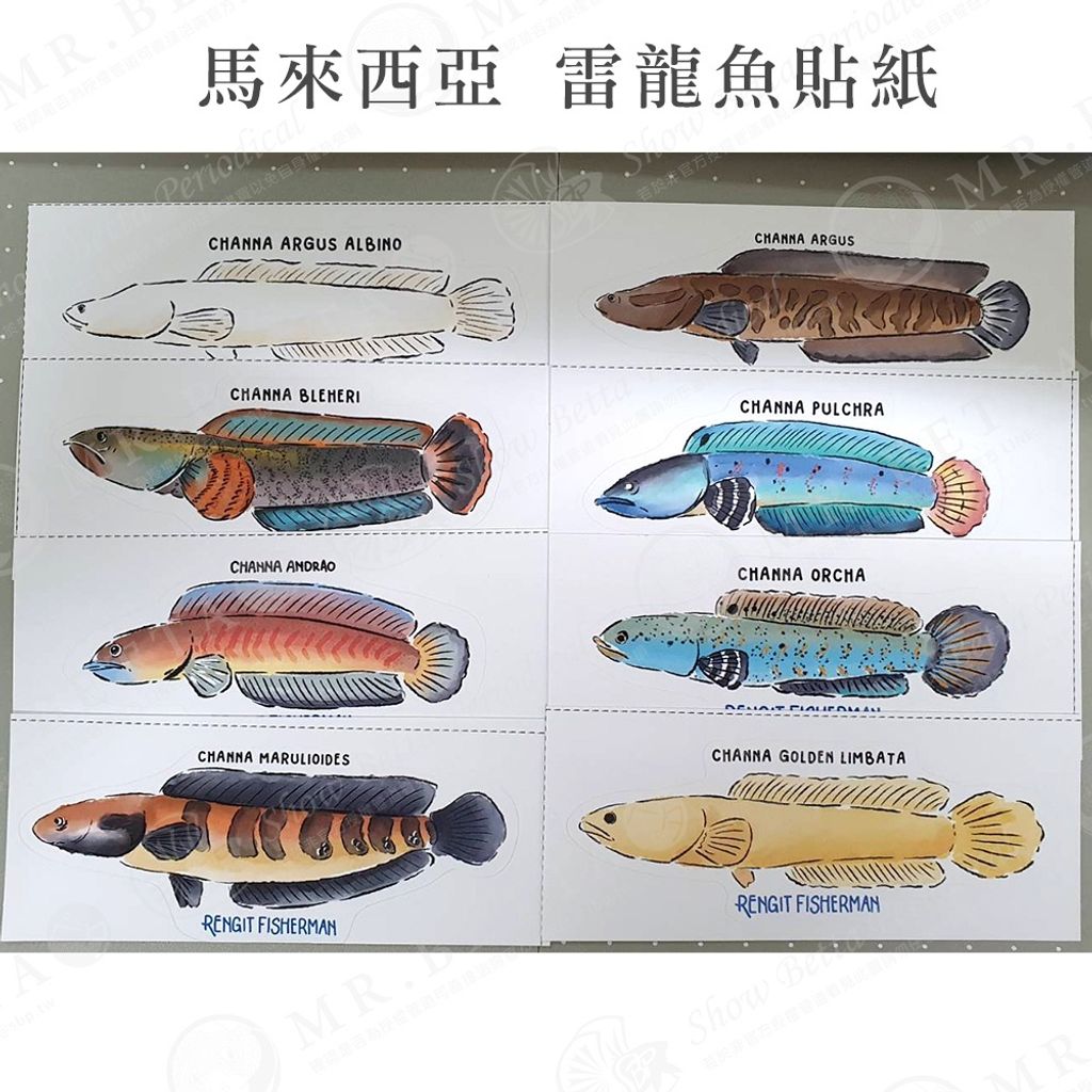 8b778e7187b55fb6b7a56e878e157218