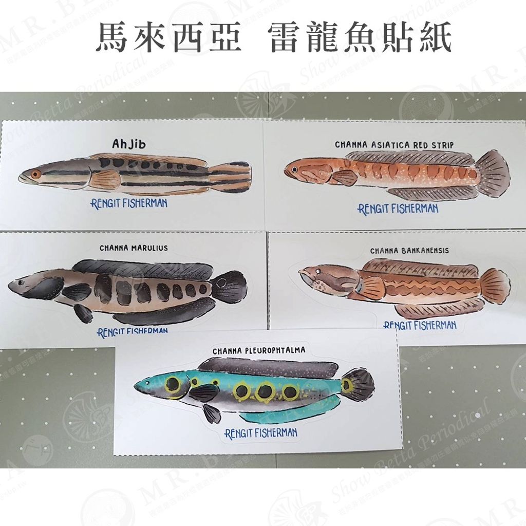 cc9421a4fc792207cfb809c2af34c0e7