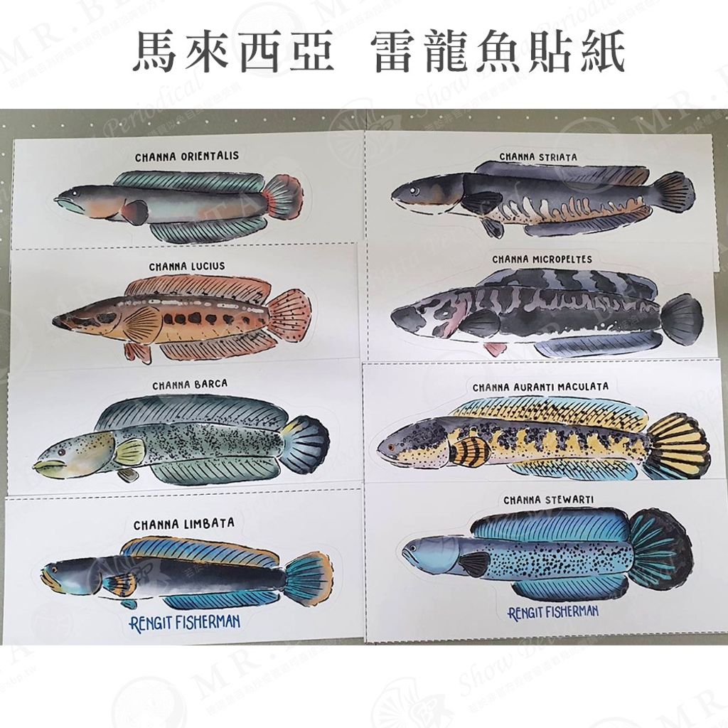 d60619b763a924b396192737812886f4