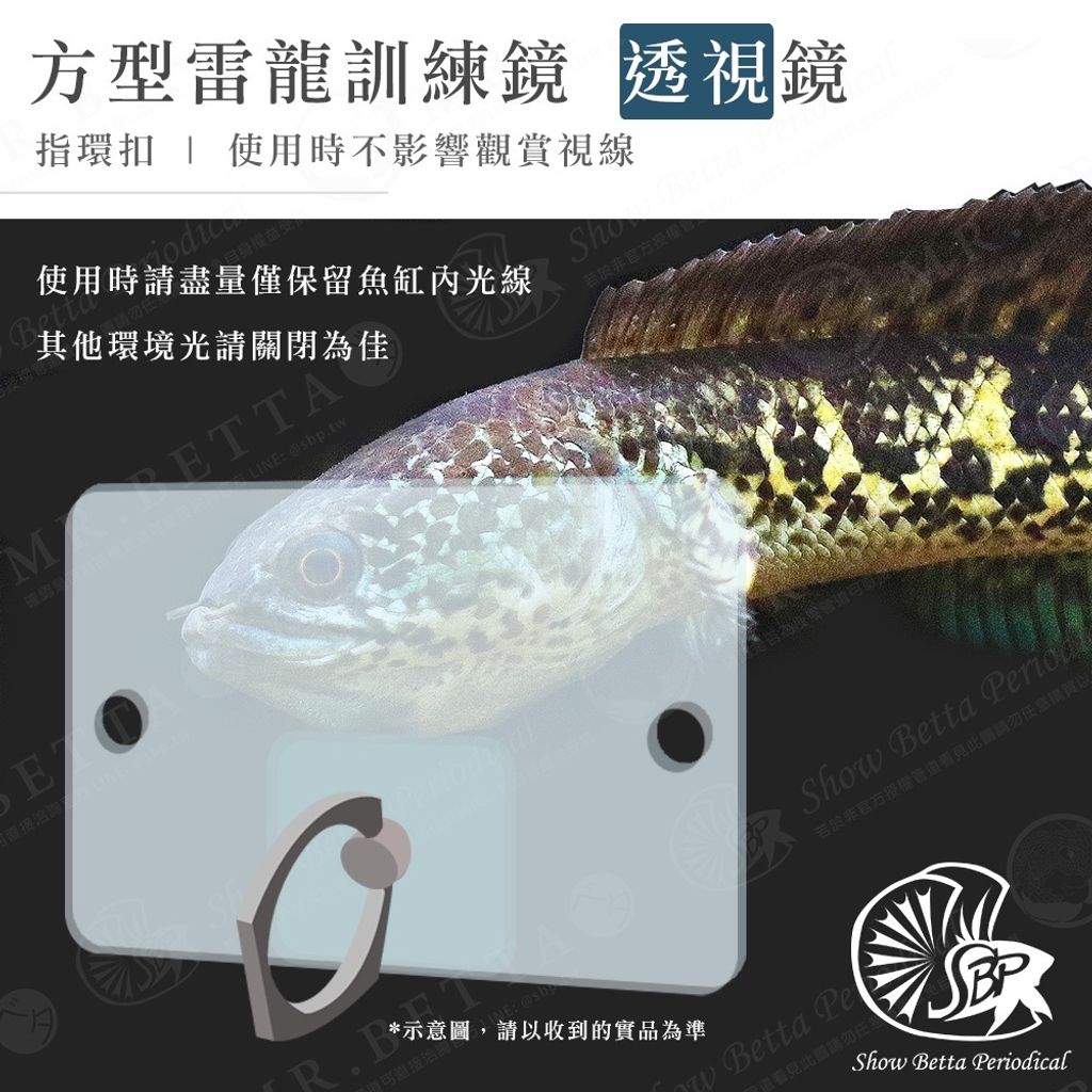 sg-11134201-22090-ryzig625ythvcc