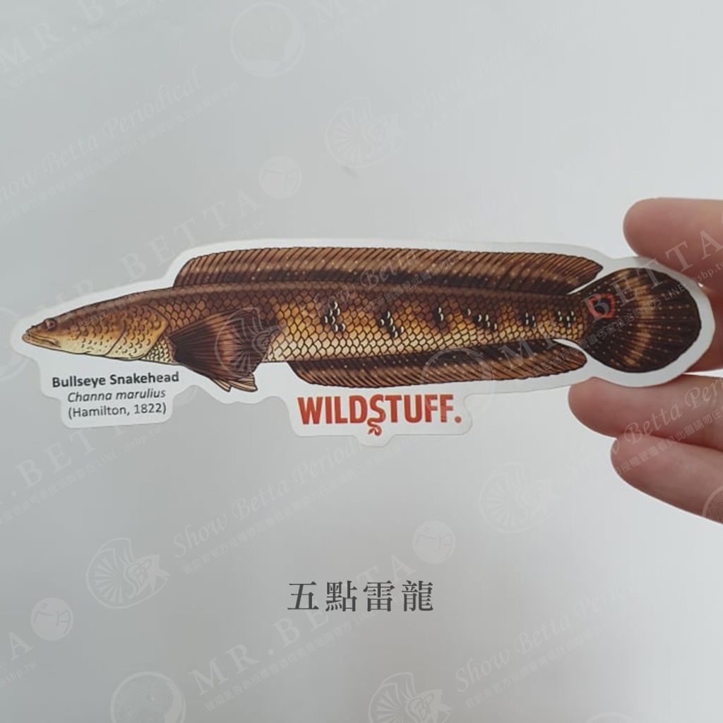 f52c14c4c6e81a7dd1d226bc6c89190f