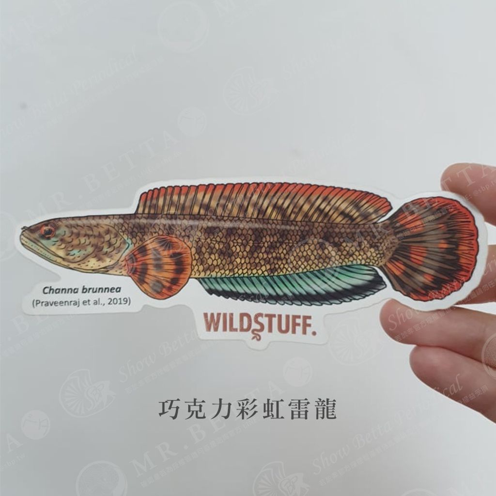 5071298813639a686dd760ba908fa9f5