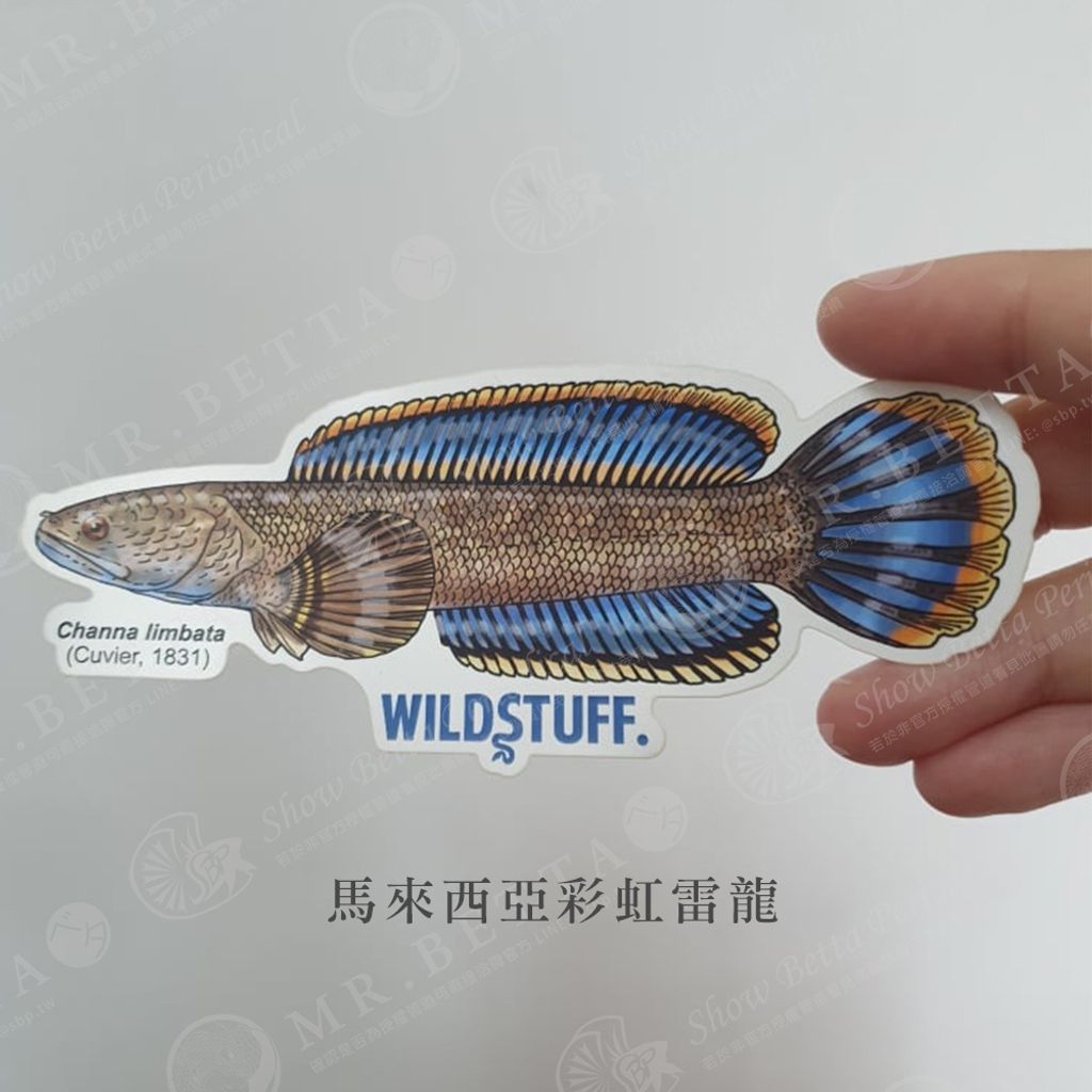 b891982247c6d69219d6d9ca35988d88