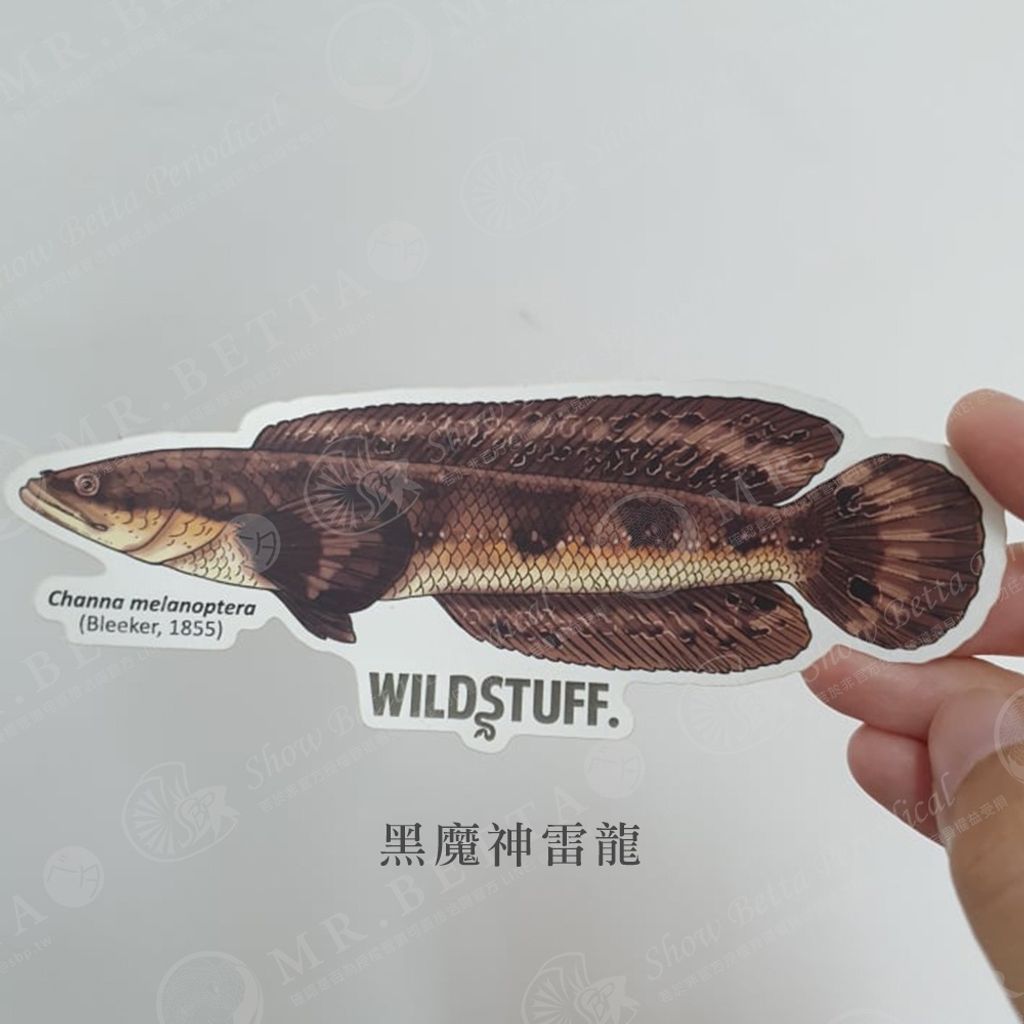 bf4ad239d9185f7cab39323bca883024